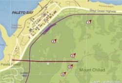 gta5彩蛋(gta5泳池派对在哪)