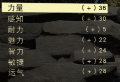 辐射4加点(辐射4尸鬼可以啪几次)