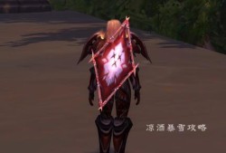 魔兽世界盾牌幻化(魔兽皮甲幻化透明胸甲)