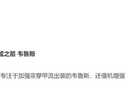 韦鲁斯出装(韦鲁斯穿甲流怎么出装)
