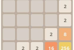 2048技巧(2048纯净版)