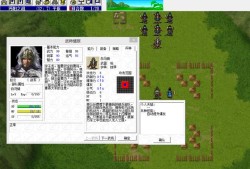 姜维传攻略(三国志赵云传攻略)